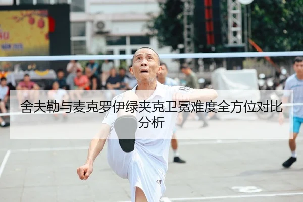 she-fu-lei-yu-mai-ke-luo-yi-lv-jia-ke-wei-mian-nan-du-quan-fang-wei-dui-bi-fen-xi-2-380.jpg