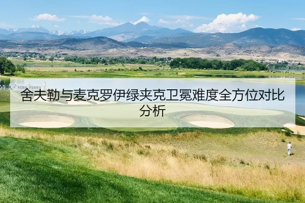 she-fu-lei-yu-mai-ke-luo-yi-lv-jia-ke-wei-mian-nan-du-quan-fang-wei-dui-bi-fen-xi-1-543.jpg