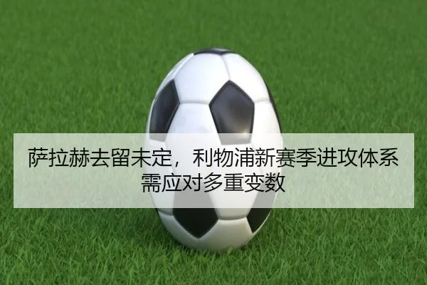 sa-la-he-qu-liu-wei-ding-li-wu-pu-xin-sai-ji-jin-gong-ti-xi-xu-ying-dui-duo-zhong-bian-shu-3-369.jpg