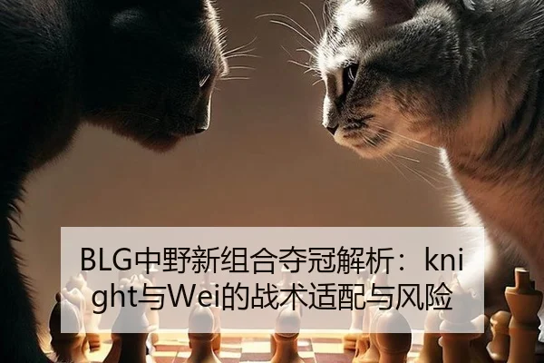 BLG中野新组合夺冠解析：knight与Wei的战术适配与风险
